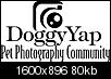 Looking for Photographers to join our team-logo269509.jpg