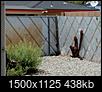 Is this a legal backyard fence height?-20210726_132335.jpg