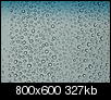 Water Droplets-droplets1.jpg