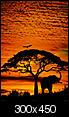 Welcome to africa!!presented by affi!!(pics)-i-36047-african-skies-posters.jpg