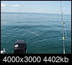 Fishing Charlotte Harbor Area-dsc00983.jpg