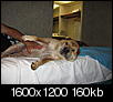 In memory /RIP Wacky and Little Dog-ebay-easter-pix7-1-2006-02.jpg
