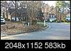 Replacement for crepe myrtle in front yard-crape-unmurdered-1.jpg