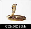 Snake-20231392-1-.jpg