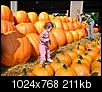 Looking for a Great Pumpkin? Check out the NC State Farmer's Market (Pictures)-110.jpg