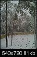 Where are all the Christmas Blizzard 2010 Snow Pics?-snow-yard.jpg