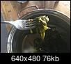 Kelp salad-70351958-0704-43c4-a073-3296102b9c8d.jpeg