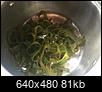 Kelp salad-16ff1e1f-28e2-4390-9aea-0900e15c9988.jpeg