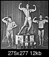 Surprised by a comment my wife made about weight lifters.-image012sm.jpg