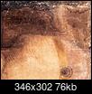 Da Vinci's Serpents-20240401_204514.jpg