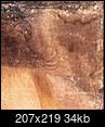 Da Vinci's Serpents-20240401_225213.jpg