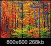 Chat Thread-800px-new_hampshire_colors.jpg