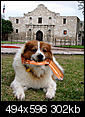 Dog digs up remains of Santa Anna on Alamo grounds-dejjerssantaanna-leg.jpg