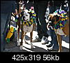 mardi gras dog parade 2012-mardi-gras-dog-parade-2012-58