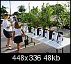 Free ornamental, native trees for Arbor Day, Pinellas Living Green Expo-arbor-day-07.jpg