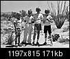 Tucson of the 60s,70s and 80s-big_coachwhip.jpg