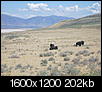 Pictures of Utah-imgp2260.jpg