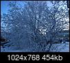 Winter 2018-19 Photo Thread (Northern Hemisphere)-img_8031.jpg