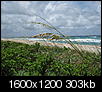 Sticky thread for pics!-20090521_palm-beach_046.jpg