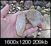Unique rocks from Morton, Wyoming area-picture-012.jpg
