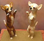 Dancing Chihuahuas