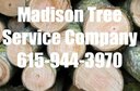 Madison Tree Service Company