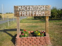 Mackintosh Fruit Farm