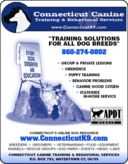 Connecticut Canine Training & Behavioral Services