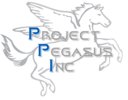 Project Pegasus Inc