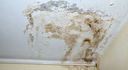 All Us Mold Removal & Remediation - Frisco TX