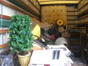 Peachtree Junk Removal 