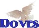 newport coast white dove release orange county & los angeles ca.
