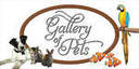 Gallery of Pets Austin