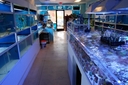 Blue Reef Aquatics