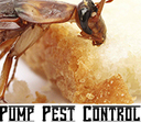 Pumped Pest Control Las Vegas and Henderson [pumpedlv]