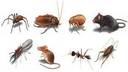 Nature's Own Pest & Lawn Services