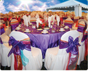 Exclusive Event Party Rental
