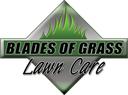 Blades of Grass lawn care, LLC