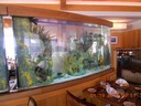 Ocean Floor Aquariums Inc