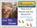 Lincoln City Realty, LLC