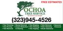 Ochoa Tree Service