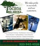 Ochoa Tree Service