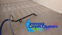 Intrepid Carpet Cleaners