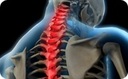 Select Spine & Sports Medicine