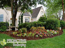 ProActive Landscaping