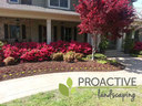ProActive Landscaping