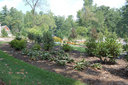 Charleston Garden at Flat Rock