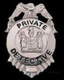 Private Detective Agency Blue Systems International
