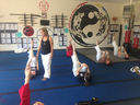 Wolf Den Martial Arts Academy