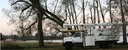 A-Fordable Tree Service